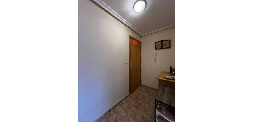 APARTMENT IN TORREVIEJA Torrevieja